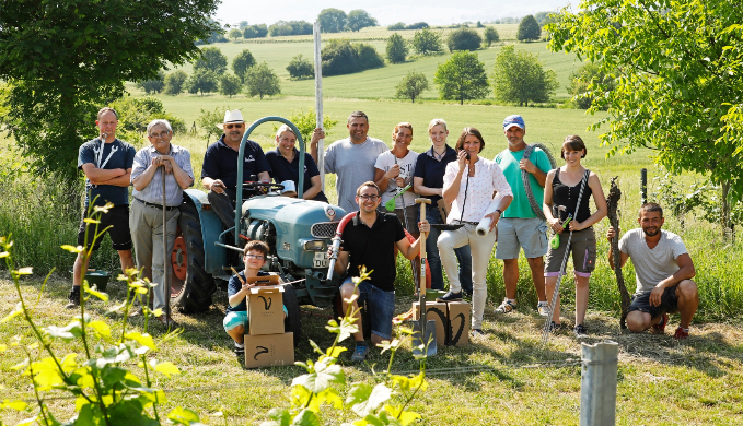 Weingut Hörner