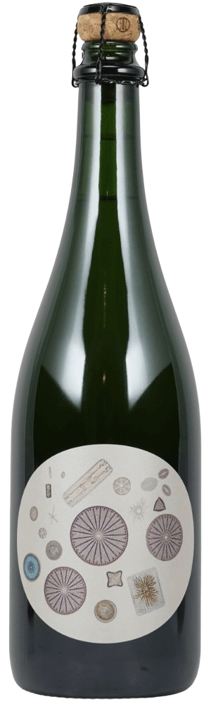 2014 Santa Rita Hills Sparkling Chardonnay Blanc de Blanc