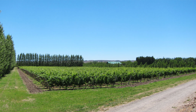 Bodega Chacra