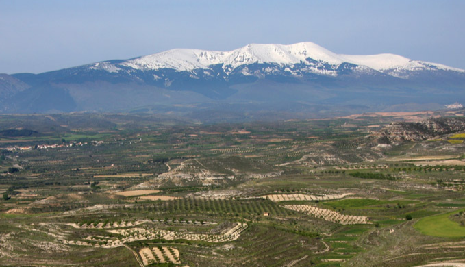 moncayo_logo
