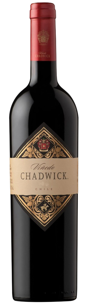 2021 Viñedo Chadwick 