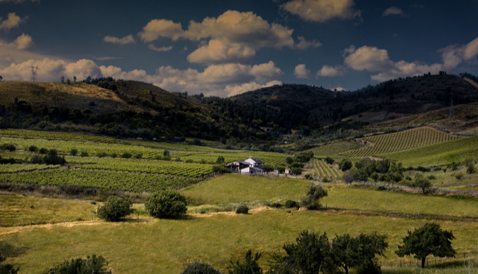 Bodegas Luna Beberide