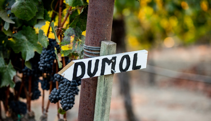 DuMol Winery