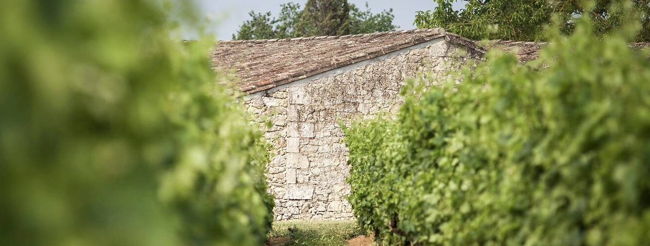 Château Rocheyron Château Rocheyron