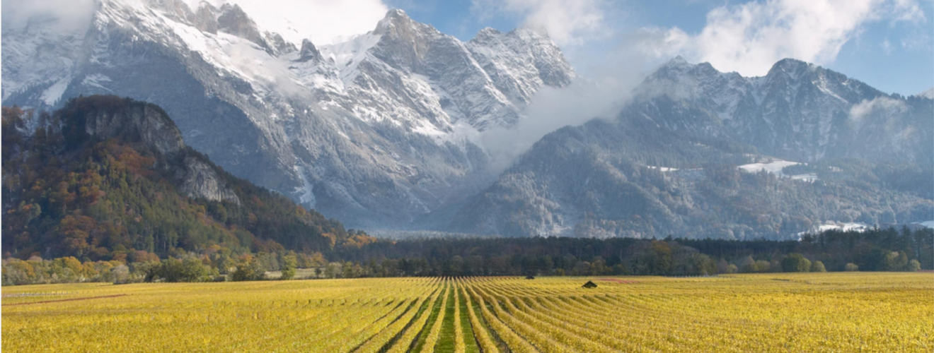 Weingut Gantenbein Weingut Gantenbein