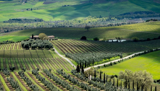 ilpoggione-italienische-weine-brunellodimontalcino-min