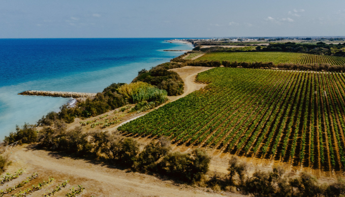 Tormaresca | Antinori