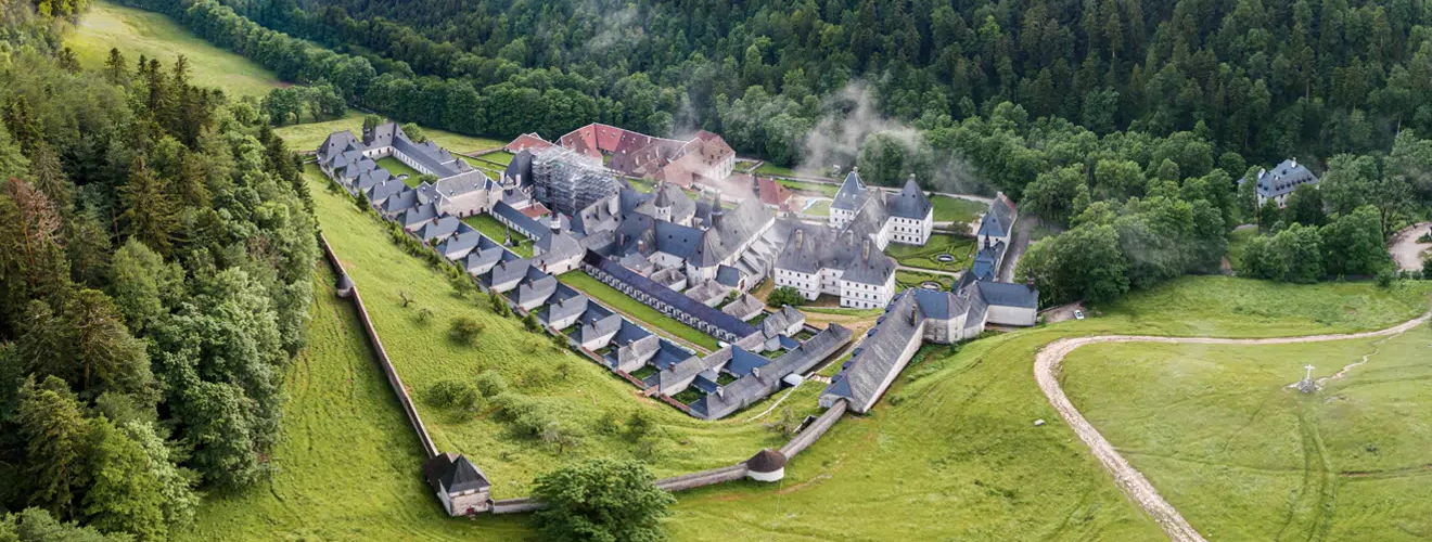 Chartreuse Chartreuse