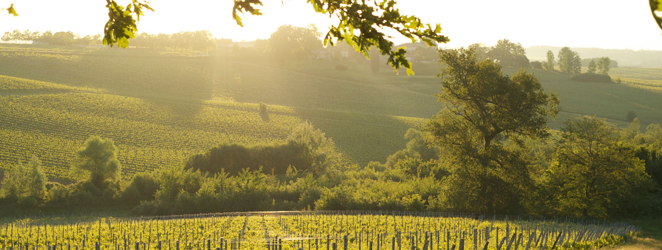 Château Mont Perat Château Mont Perat