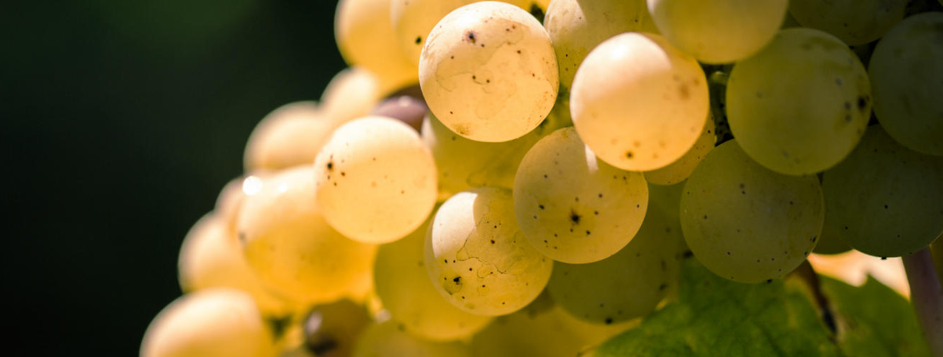 Clos des Lunes Clos des Lunes