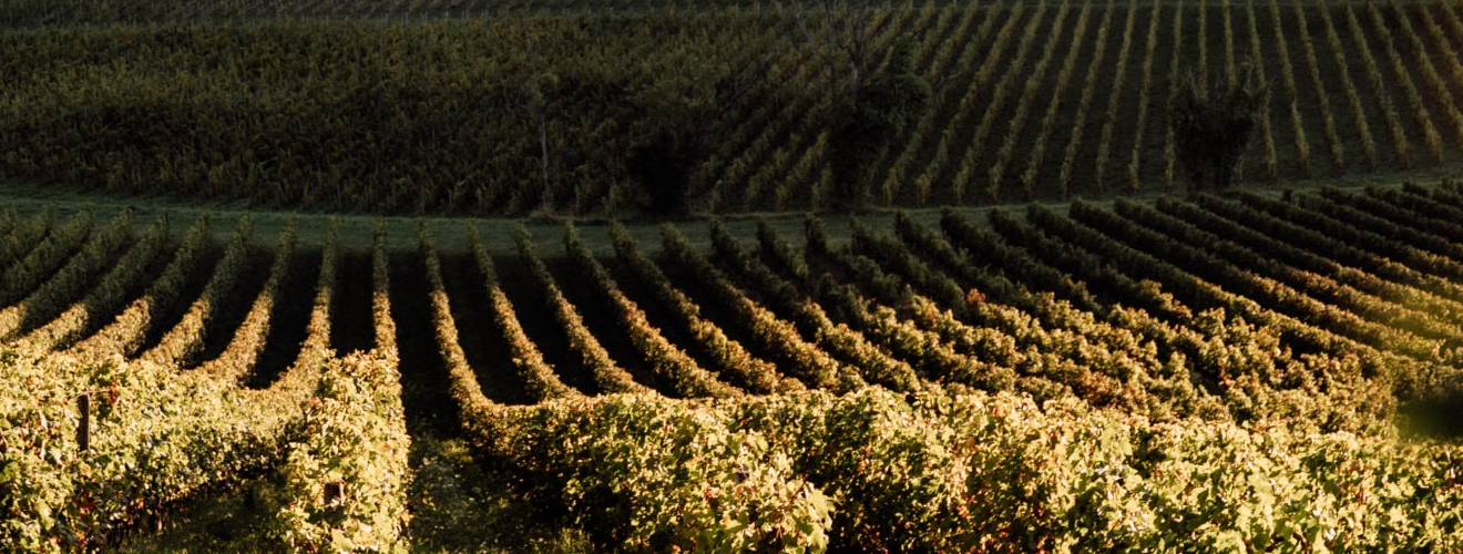 Château La Vieille Cure Château La Vieille Cure