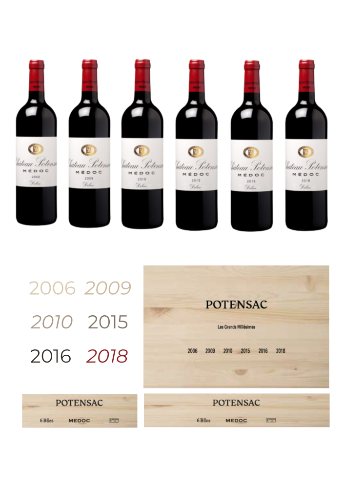 Château Potensac Vertical | 6er-Vertical Case 