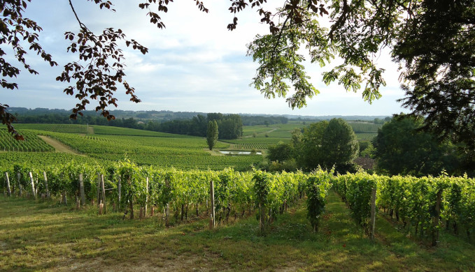 chateau-valandraud-frankreich-bordeauxweine-rotwein