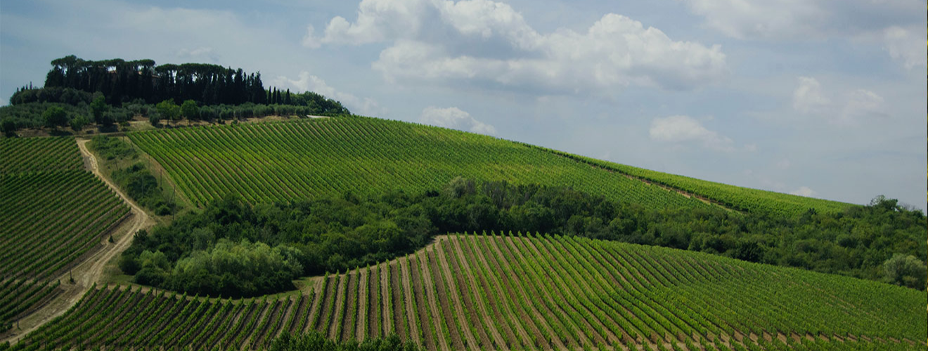 Mazzei | Castello di Fonterutoli