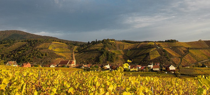 cave-de-turckheim-header