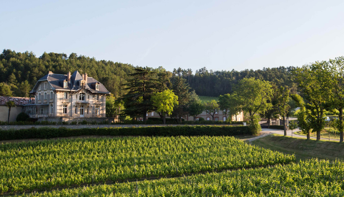 Domaine de Baronarques (Mouton-Rothschild)