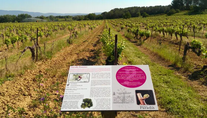 Château Paradis