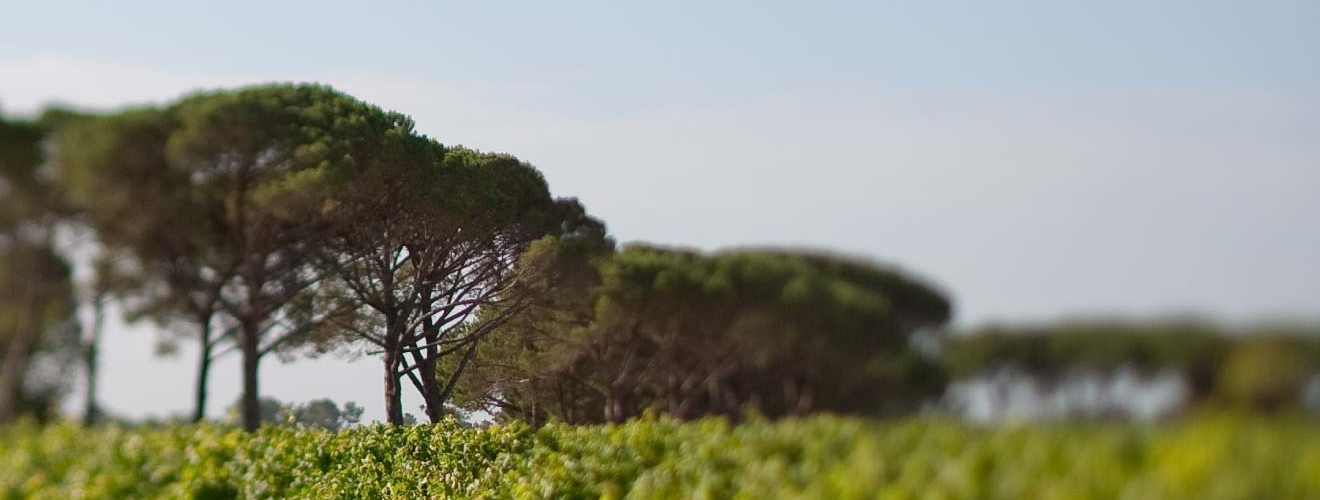 Château Lanessan Château Lanessan