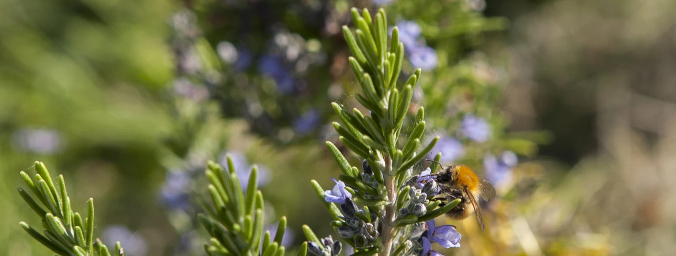 Château La Marzelle Château La Marzelle